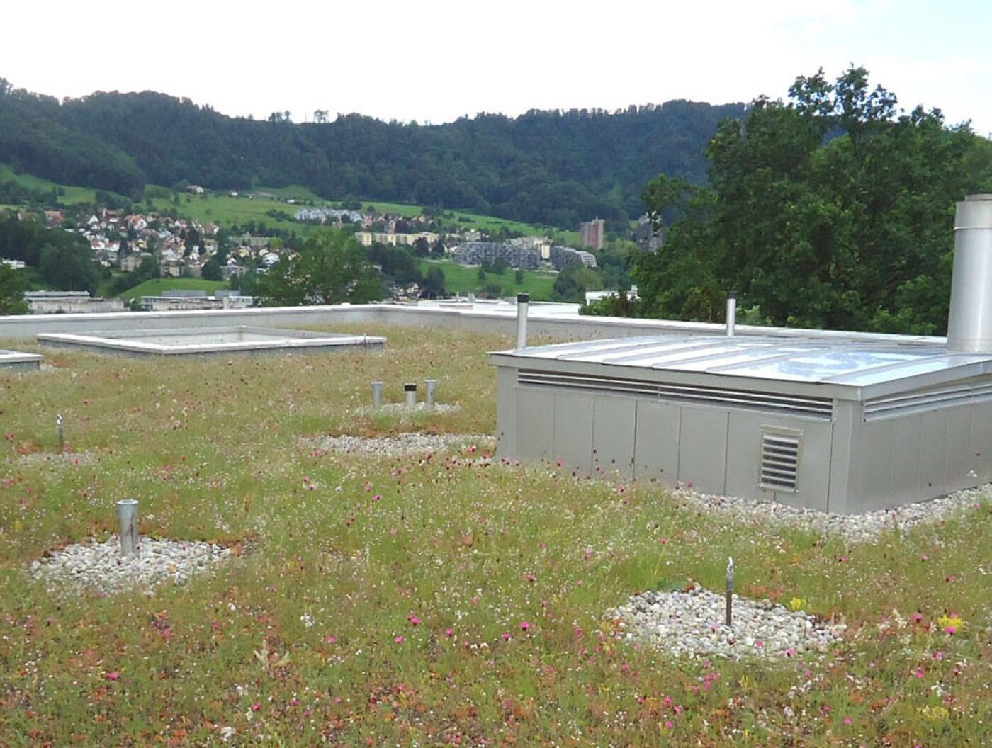 Adliswil, Dietlimoos Ahornweg BF 1 + 3